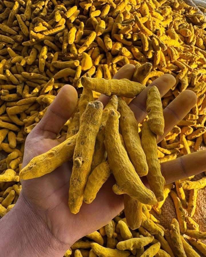 Turmeric Finger
